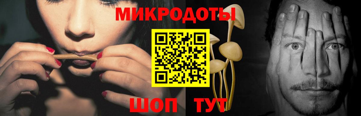 Галлюциногенные грибы Psilocybine cubensis  Ступино  Галлюциногенные грибы мицелий 